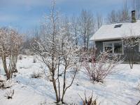 突然の春の雪景色